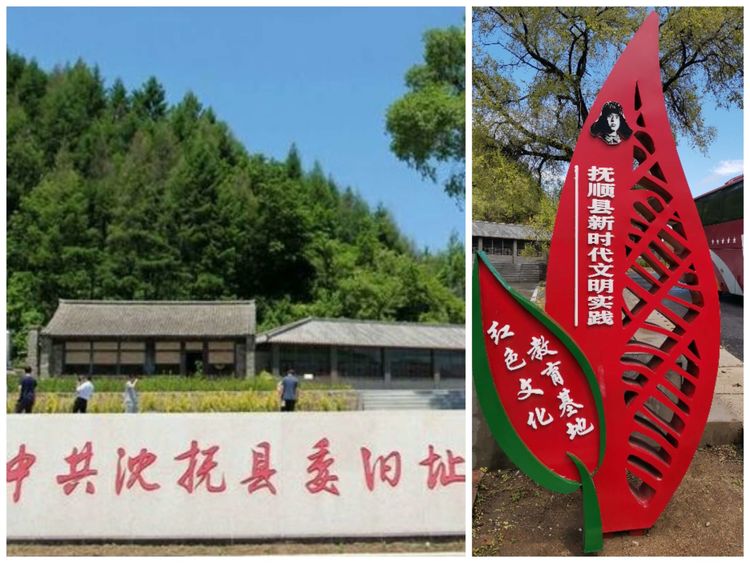 图片4.jpg